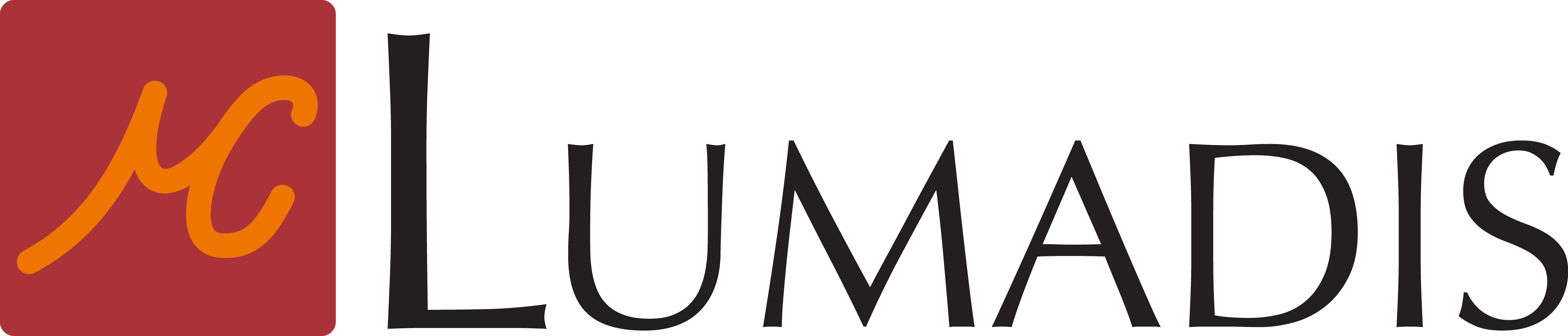 Lumadis Logo